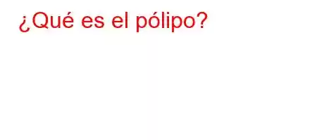 ¿Qué es el pólipo