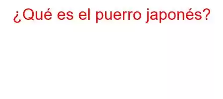 ¿Qué es el puerro japonés?