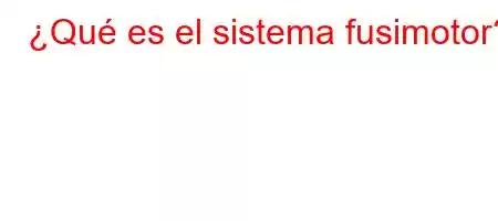 ¿Qué es el sistema fusimotor?