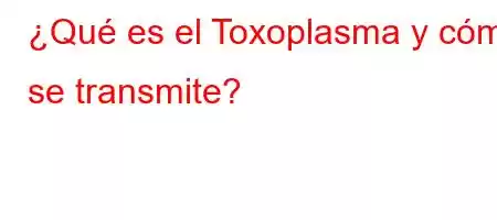 ¿Qué es el Toxoplasma y cómo se transmite