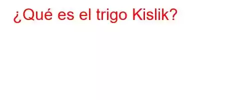 ¿Qué es el trigo Kislik?