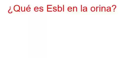 ¿Qué es Esbl en la orina