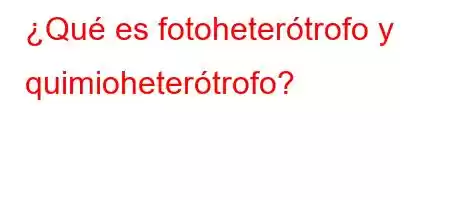 ¿Qué es fotoheterótrofo y quimioheterótrofo