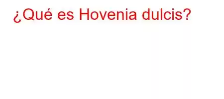 ¿Qué es Hovenia dulcis?