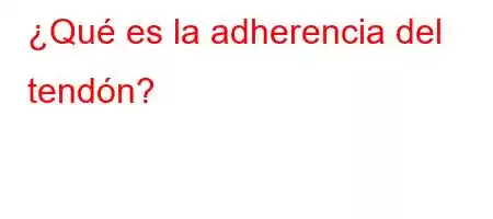 ¿Qué es la adherencia del tendón