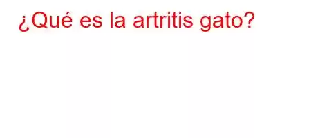 ¿Qué es la artritis gato