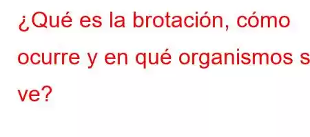 ¿Qué es la brotación, cómo ocurre y en qué organismos se ve?