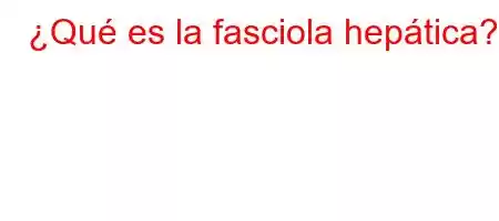 ¿Qué es la fasciola hepática?