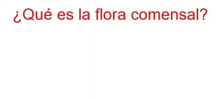 ¿Qué es la flora comensal?