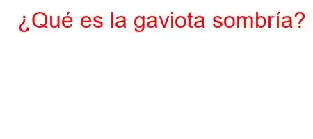 ¿Qué es la gaviota sombría