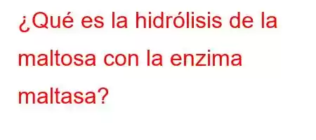 ¿Qué es la hidrólisis de la maltosa con la enzima maltasa?