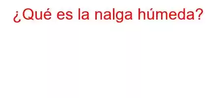 ¿Qué es la nalga húmeda