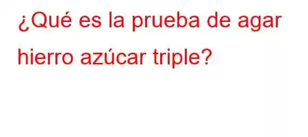 ¿Qué es la prueba de agar hierro azúcar triple?