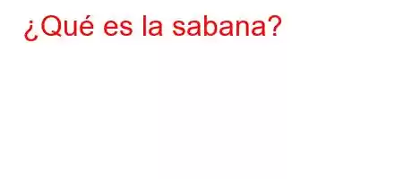 ¿Qué es la sabana?