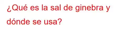 ¿Qué es la sal de ginebra y dónde se usa?