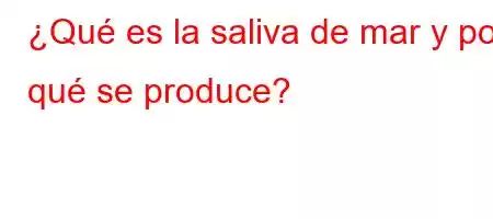 ¿Qué es la saliva de mar y por qué se produce?