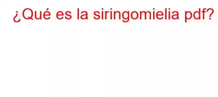 ¿Qué es la siringomielia pdf?