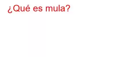 ¿Qué es mula