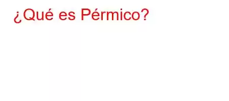 ¿Qué es Pérmico?