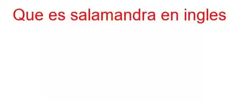 Que es salamandra en ingles