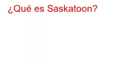 ¿Qué es Saskatoon?