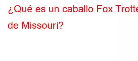 ¿Qué es un caballo Fox Trotter de Missouri