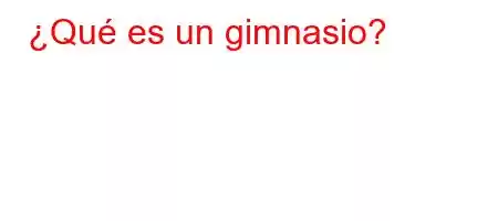 ¿Qué es un gimnasio?