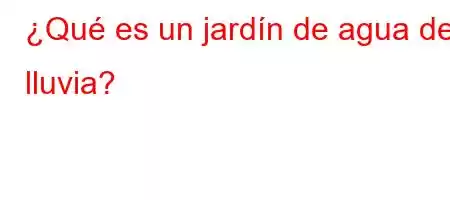 ¿Qué es un jardín de agua de lluvia