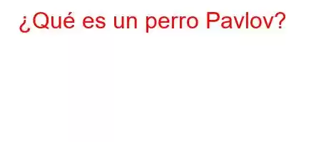 ¿Qué es un perro Pavlov?