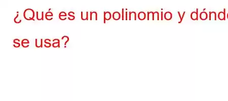 ¿Qué es un polinomio y dónde se usa