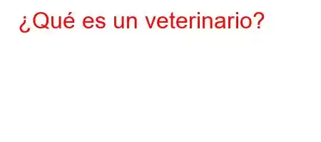 ¿Qué es un veterinario?