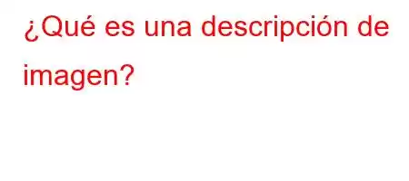 ¿Qué es una descripción de imagen?