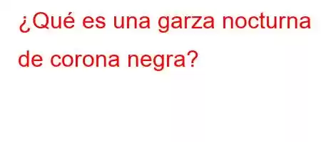 ¿Qué es una garza nocturna de corona negra