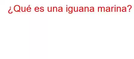 ¿Qué es una iguana marina?