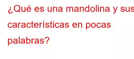 ¿Qué es una mandolina y sus características en pocas palabras?