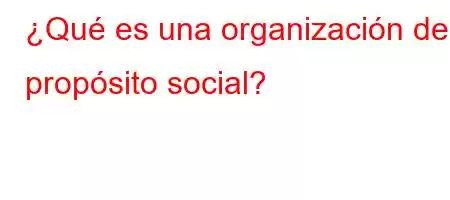 ¿Qué es una organización de propósito social?