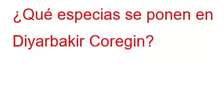 ¿Qué especias se ponen en Diyarbakir Coregin?