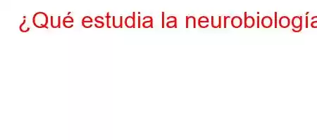 ¿Qué estudia la neurobiología