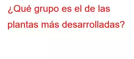 ¿Qué grupo es el de las plantas más desarrolladas?