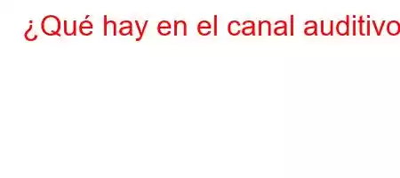 ¿Qué hay en el canal auditivo?