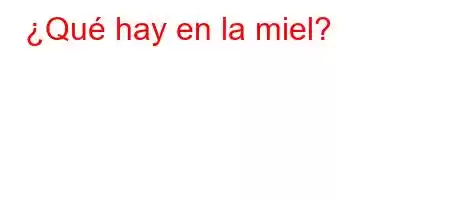 ¿Qué hay en la miel?