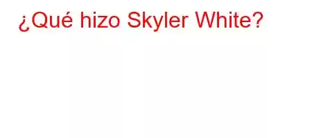 ¿Qué hizo Skyler White?