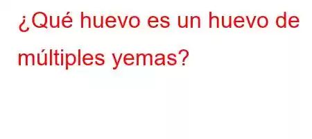 ¿Qué huevo es un huevo de múltiples yemas