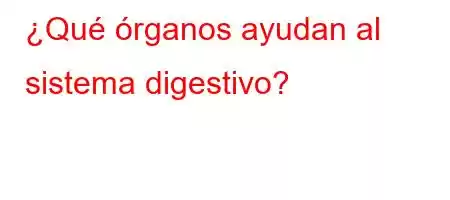 ¿Qué órganos ayudan al sistema digestivo?