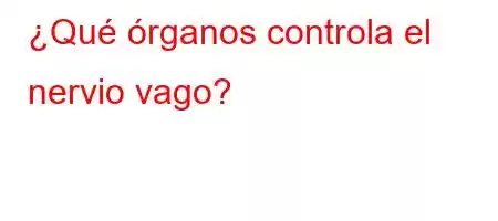 ¿Qué órganos controla el nervio vago?