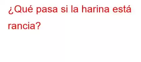 ¿Qué pasa si la harina está rancia?