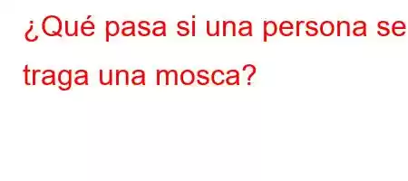 ¿Qué pasa si una persona se traga una mosca?