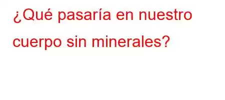 ¿Qué pasaría en nuestro cuerpo sin minerales