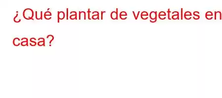 ¿Qué plantar de vegetales en casa