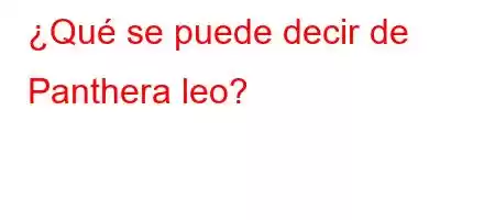 ¿Qué se puede decir de Panthera leo?